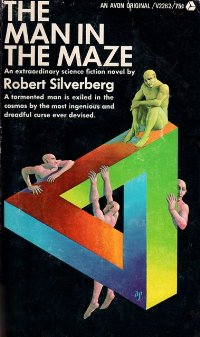 The Man In The Maze