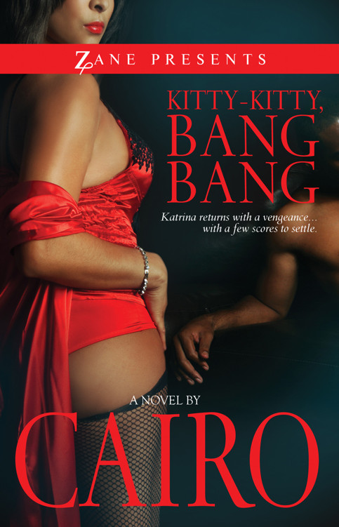Kitty-Kitty, Bang-Bang