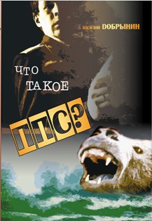 Что такое ППС? (Хроника смутного времени)