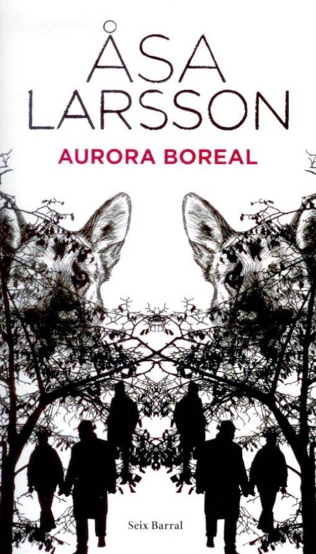 Aurora boreal