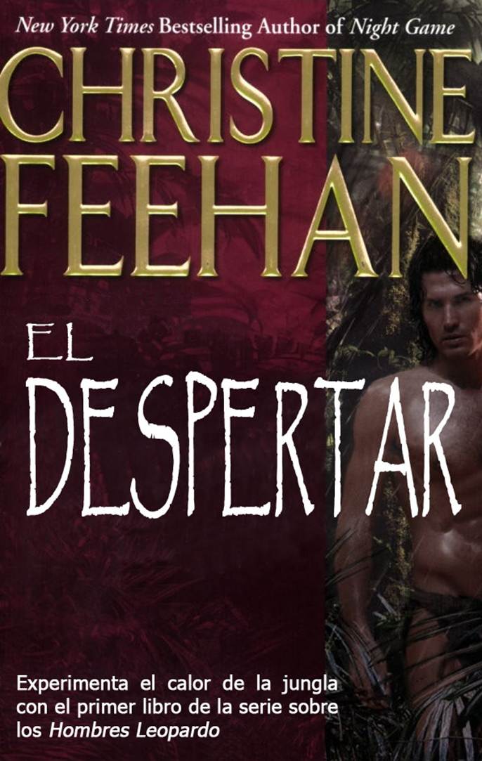 El Despertar