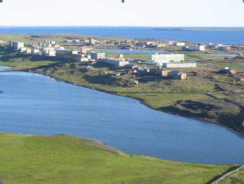 Зерно жизни